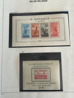 Belgique 1949/1957 - Collection de blocs sur feuilles, Timbres & Monnaies