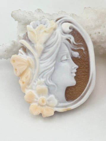 Zonder reserveprijs Cassis madagascariensis - Cameo -