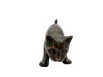 Beeldje - Curious Kitten - Brons