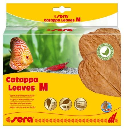 Sera Catappa Leaves Medium 10 stuks (Waterverzorging), Animaux & Accessoires, Poissons | Aquariums & Accessoires, Enlèvement ou Envoi