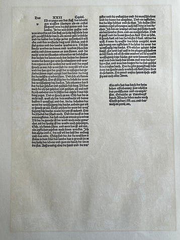 Albrecht Dürer (1471-1528), after - Woodcut - Apocalypsis