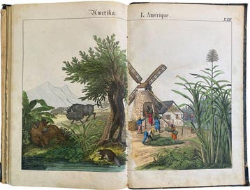 J.F. Schreiber - Bilder zum Anschauungs-Unterricht für die, Antiek en Kunst