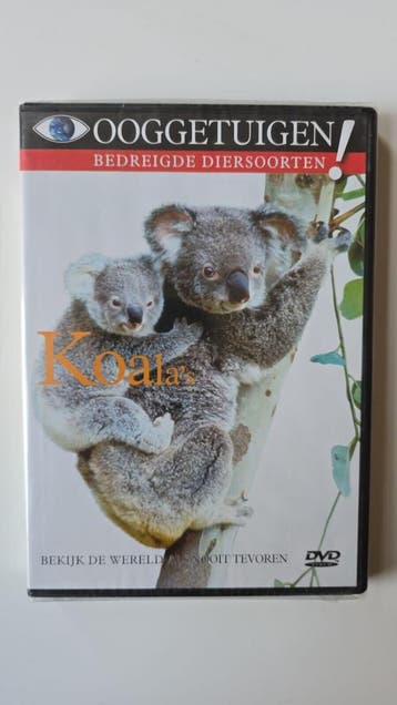 OOGGETUIGEN KOALAS (IN SEAL) (DVD), Gebruikt