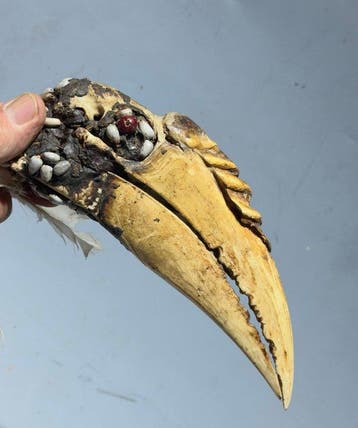 Ketting van de Asmat-stam, 20e eeuw, begin van de maand -