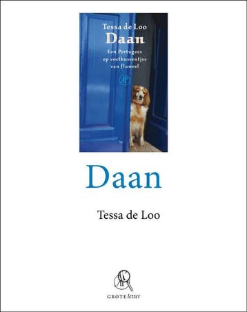 Daan 9789029579032 Tessa de Loo, Verzenden, Zo goed als nieuw, Tessa de Loo