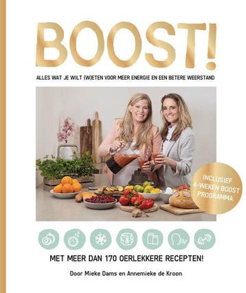 BOOST! 9789491863691 Annemieke de Kroon, Boeken, Verzenden, Zo goed als nieuw, Annemieke de Kroon