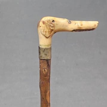 Wandelstok - Been - Biedermeier jachtstok