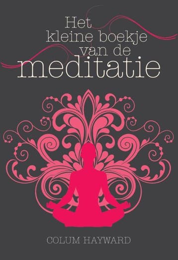 Het kleine boekje van de meditatie 9789045314396, Verzenden, Colum Hayward