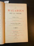 J m guillon - Vins de bordeaux - 1887-1887