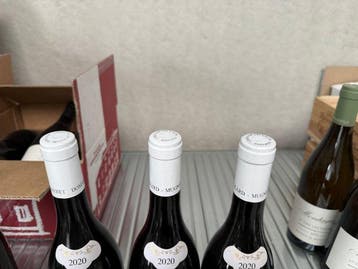 2020 Domaine Mongeard-Mugneret Les Boudots - Nuits St., Collections, Vins