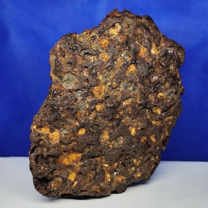 PALLASITE meteoriet. SERICHO (Kenia, 2016) Volledig, Verzamelen, Mineralen en Fossielen