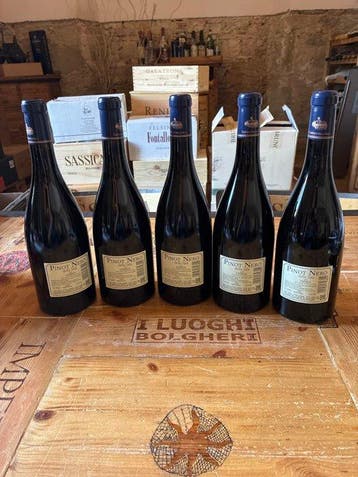 2023 Antinori, Pinot Nero della Sala - Umbrië - 5 Fles (0,75, Verzamelen, Nieuw
