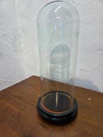 Globe - stolp - antiek - 1901-1920 - Ancienne cloche ronde