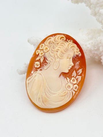 CASSIS RUFA - Cameo - Handgesneden camee