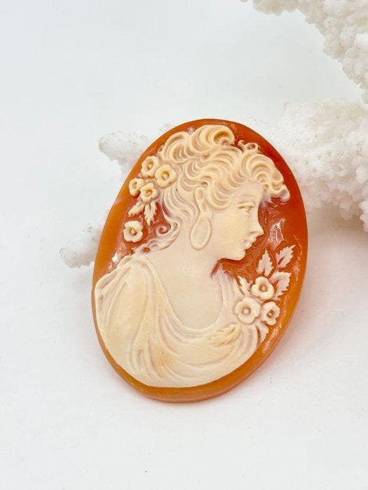 CASSIS RUFA - Cameo - Handgesneden camee, Antiquités & Art, Curiosités & Brocante