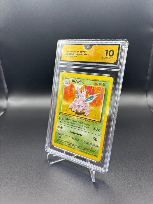 Pokémon - 1 Graded card - Nidorino 37 Dutch Base Set First, Hobby & Loisirs créatifs, Jeux de cartes à collectionner | Pokémon