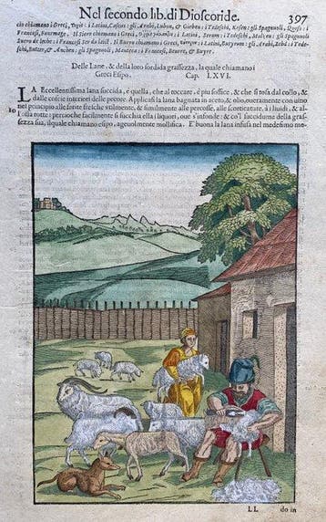Della lana - 1604