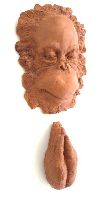 Maria Eugenia Piacentini - Involution 2026 - orangutan