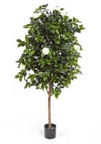 Kunstplant Camelia Wit 170 cm, Verzenden