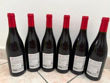 2021 Tenuta san Michele, Murgo Pinot Nero - Sicile IGT - 6, Verzamelen, Nieuw