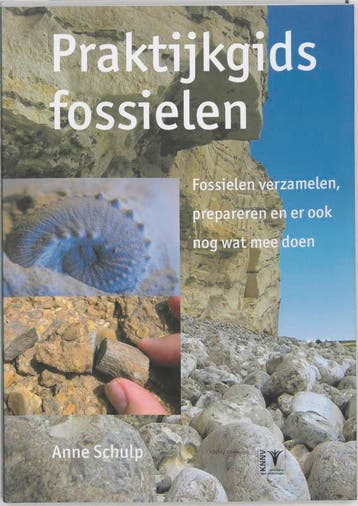 Praktijkgids fossielen 9789050112031 A. Schulp, Boeken, Verzenden, Zo goed als nieuw, A. Schulp