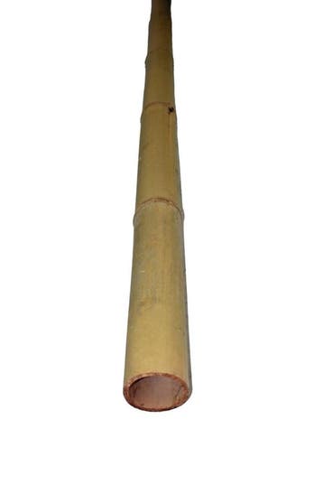 Moso bamboepaal 5-7 400, Tuin en Terras, Verzenden, Nieuw