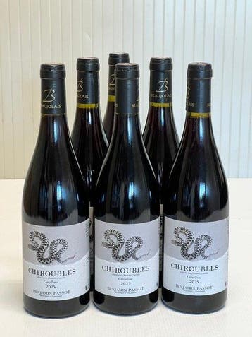 2025 Benjamin Passot. Cercillons - Chiroubles - 6 Flessen, Collections
