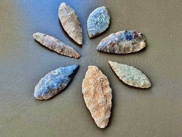 Sahara Silex Pijlpunt (Zonder minimumprijs)