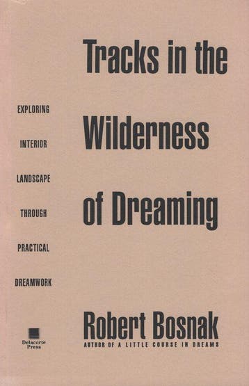 Tracks in the Wilderness of Dreaming 9780385315265, Boeken, Verzenden, Gelezen, Robert Bosnak