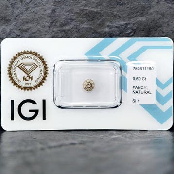 1 pcs Diamant (Natuurlijk gekleurd) - 0.60 ct - Rond - Fancy, Bijoux, Sacs & Beauté, Pierres précieuses