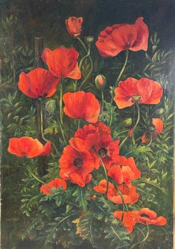 Anne Snollaerts de Groux (XIX-XX) - Papaveri