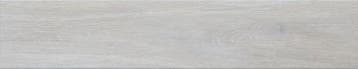 Trunk 23x120 BLANCO / MAT Vloertegel en Wandtegel /, Doe-het-zelf en Bouw, Ophalen of Verzenden, Nieuw