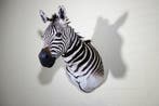 Zebra Head Taxidermie wandmontage - Equus quagga - 45 cm -