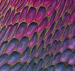 Maria Ruisi - Onde précieuse Peinture sculpturale Garantie à