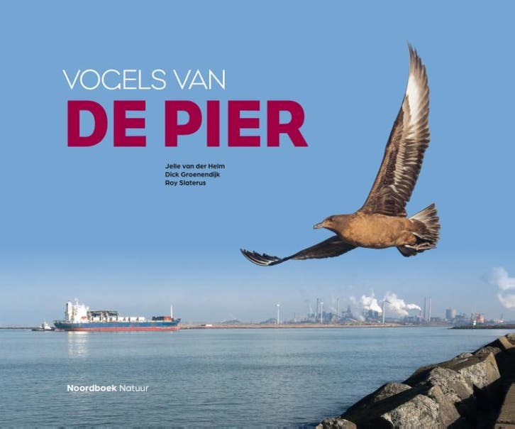 Vogels van de Pier 9789056155490 Roy Slaterus, Boeken, Hobby en Vrije tijd, Gelezen, Verzenden