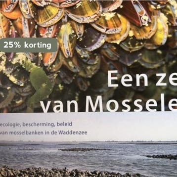 Een zee van mosselen 9789081524827 Frouke Fey-Hofstede, Verzenden, Zo goed als nieuw, Frouke Fey-Hofstede