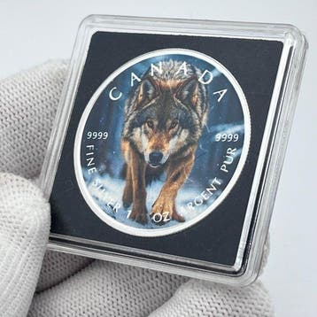 Canada. 5 Dollars 2026 – Silent Stalker: Wolf of Winter
