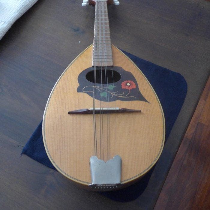 Alfredo Privitera - Mandolino Napoletano - - Mandoline -, Muziek en Instrumenten, Blaasinstrumenten | Blokfluiten