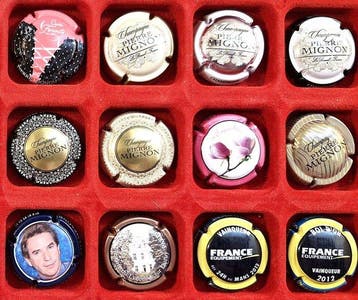 Collection de capsules de champagne - Gros Lot de 24