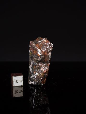 Sericho meteoriet Pallasiet - 25 g - (1), Verzamelen