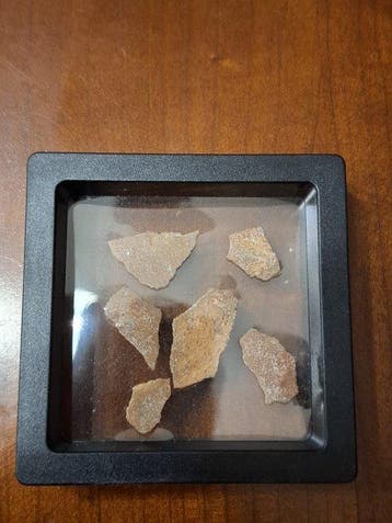Dinosaurus - Fossiel fragment - Lot de 6 rare morceaux de, Verzamelen