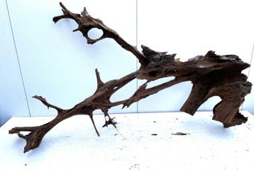 Osaka XL201 uniek aquarium decoratie hout  165x120x50 cm, Ophalen of Verzenden, Plant(en), Steen of Hout