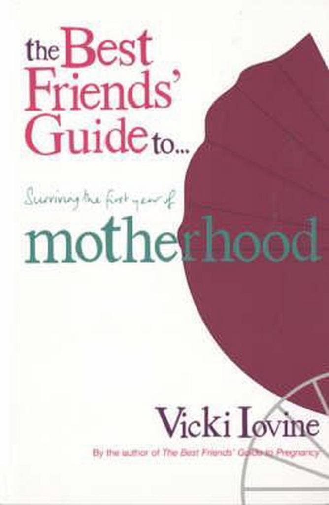 Best Friends Guide To Surviving The First Year Of Motherhoo, Boeken, Taal | Engels, Gelezen, Verzenden