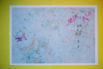 Viet Ha Tran - Silent Beauty I
