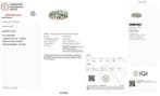 Eeuwigheidsring - 14 karaat Geel goud - 3.35ct. tw. Smaragd