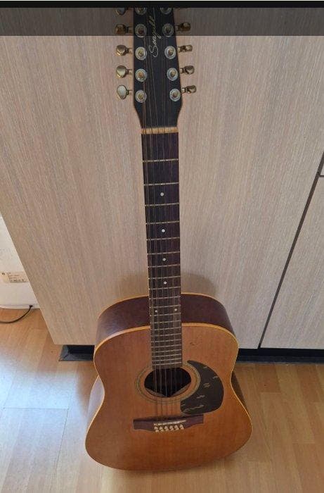 Godin, Seagull - Coastline S12 Cedar - - 12-snarige, Musique & Instruments, Instruments à corde | Guitares | Acoustiques