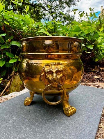 Jardinière - Messing - Messing leeuw in barokstijl