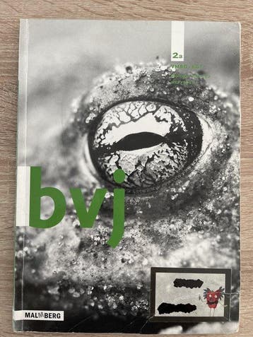 BVJ 2a VMBO-KGT werkboek 9789034582447 J. van Nassau, Verzenden, J. van Nassau