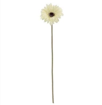 Gerbera 53 cm Creme Zijden bloemen / st, Huis en Inrichting, Nieuw