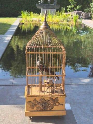 Boîte à musique - France - 1910-1920 - Grande cage à oiseaux
